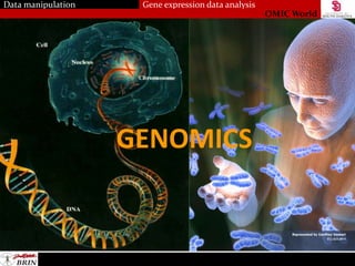 Lab Gene Expression Data Analysis | PPTX