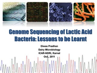 Genome Sequencing of Lactic Acid
Bacteria: Lessons to be Learnt
Diwas Pradhan
Dairy Microbiology
ICAR-NDRI, Karnal
Oct., 2011
 