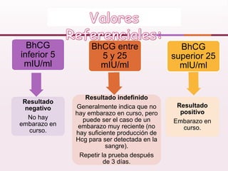 Gch positivo sale