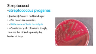 Streptococci
-Streptococcus pyogenes
• (culture) Growth on Blood agar:
• –Pin point size colonies
• –Wide zone of beta hemolysis
• –Consistency of colonies is tough,
can not be picked up easily by
bacterial loop.
 