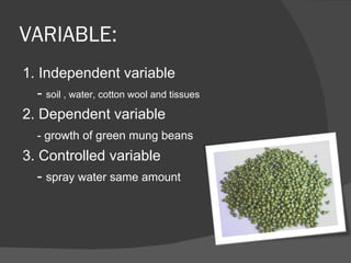 Lab' green mung beans2003 | PPT | Free Download