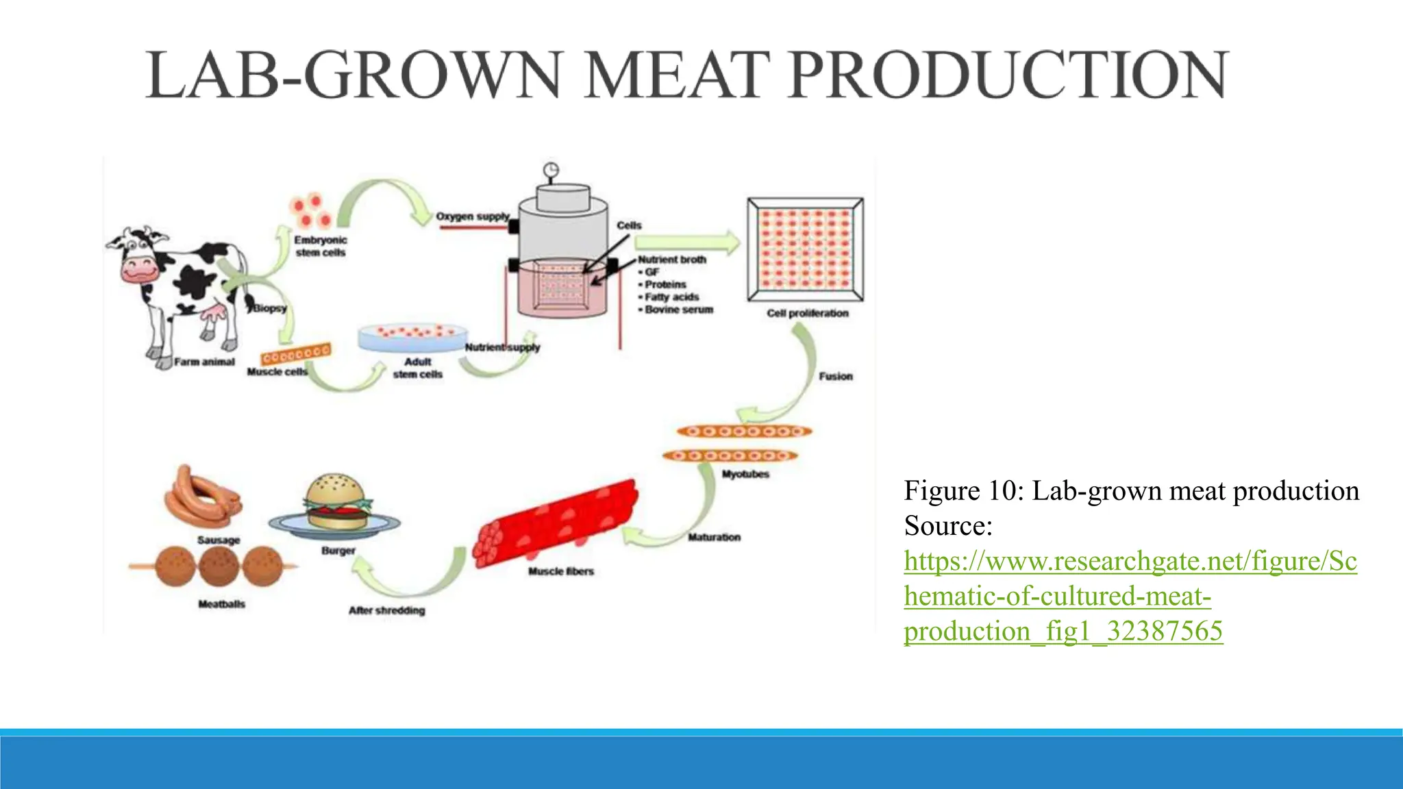 LAB GROWN MEAT.pptxn | PPTX | Vegetarian Diets | Food & Drink