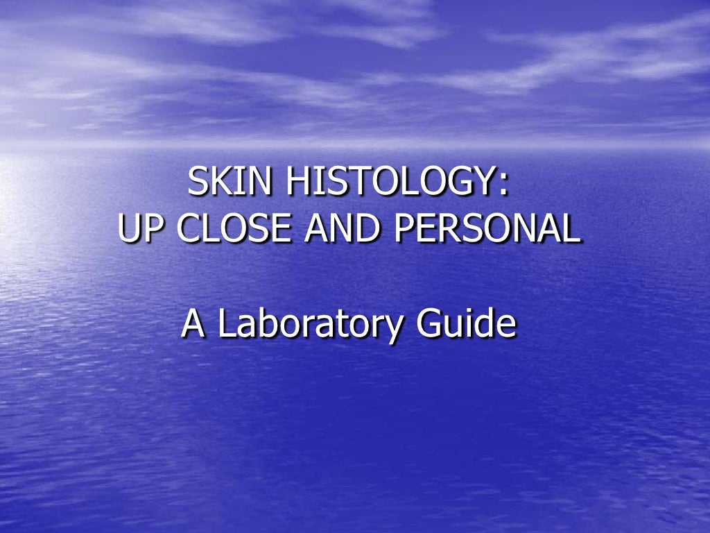 the skin lab download free the skin lab download free