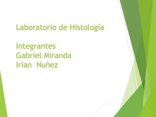 Laboratorio de Histología
Integrantes
Gabriel Miranda
Irían Nuñez
 