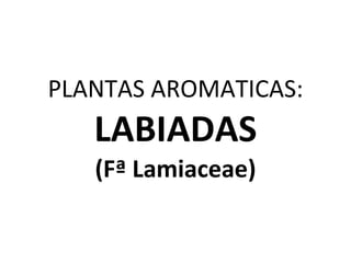 PLANTAS AROMATICAS:
   LABIADAS
   (Fª Lamiaceae)
 