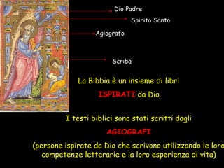 La Bibbia è un insieme di libri
ISPIRATI da Dio.
I testi biblici sono stati scritti dagli
AGIOGRAFI
(persone ispirate da Dio che scrivono utilizzando le loro
competenze letterarie e la loro esperienza di vita)
Dio Padre
Spirito Santo
Agiografo
Scriba
 