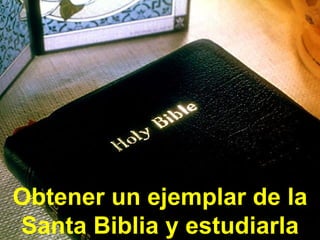 Obtener un ejemplar de la Santa Biblia y estudiarla 