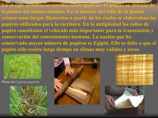 En el siglo primero se escribía sobre papiros. El papiro se obtenía de
la planta del mismo nombre. En el interior del tallo de la planta
existen unos largos filamentos a partir de los cuales se elaboraban los
papiros utilizados para la escritura. En la antigüedad los rollos de
papiro constituían el vehículo más importante para la transmisión y
conservación del conocimiento humano. La nación que ha
conservado mayor número de papiros es Egipto. Ello se debe a que el
papiro sólo resiste largo tiempo en climas muy calidos y secos.
Planta de Cyperus papyrus.
 