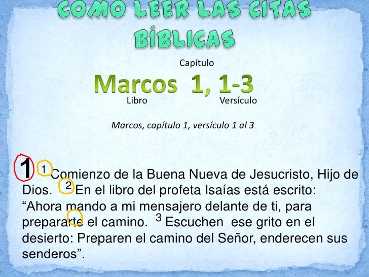 Como Buscar En La Biblia Los Capitulos Y Versiculos