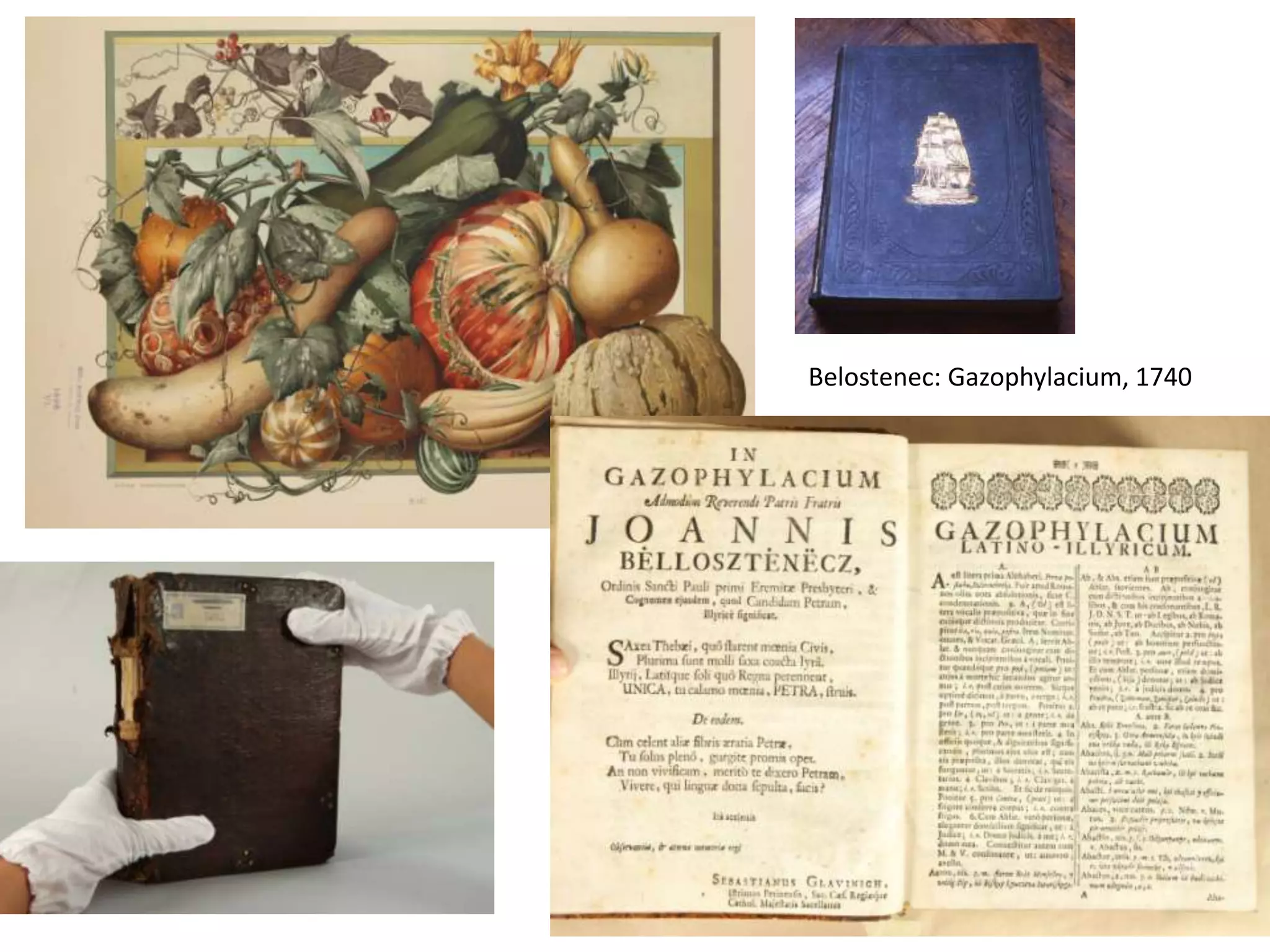 Belostenec: Gazophylacium, 1740
 