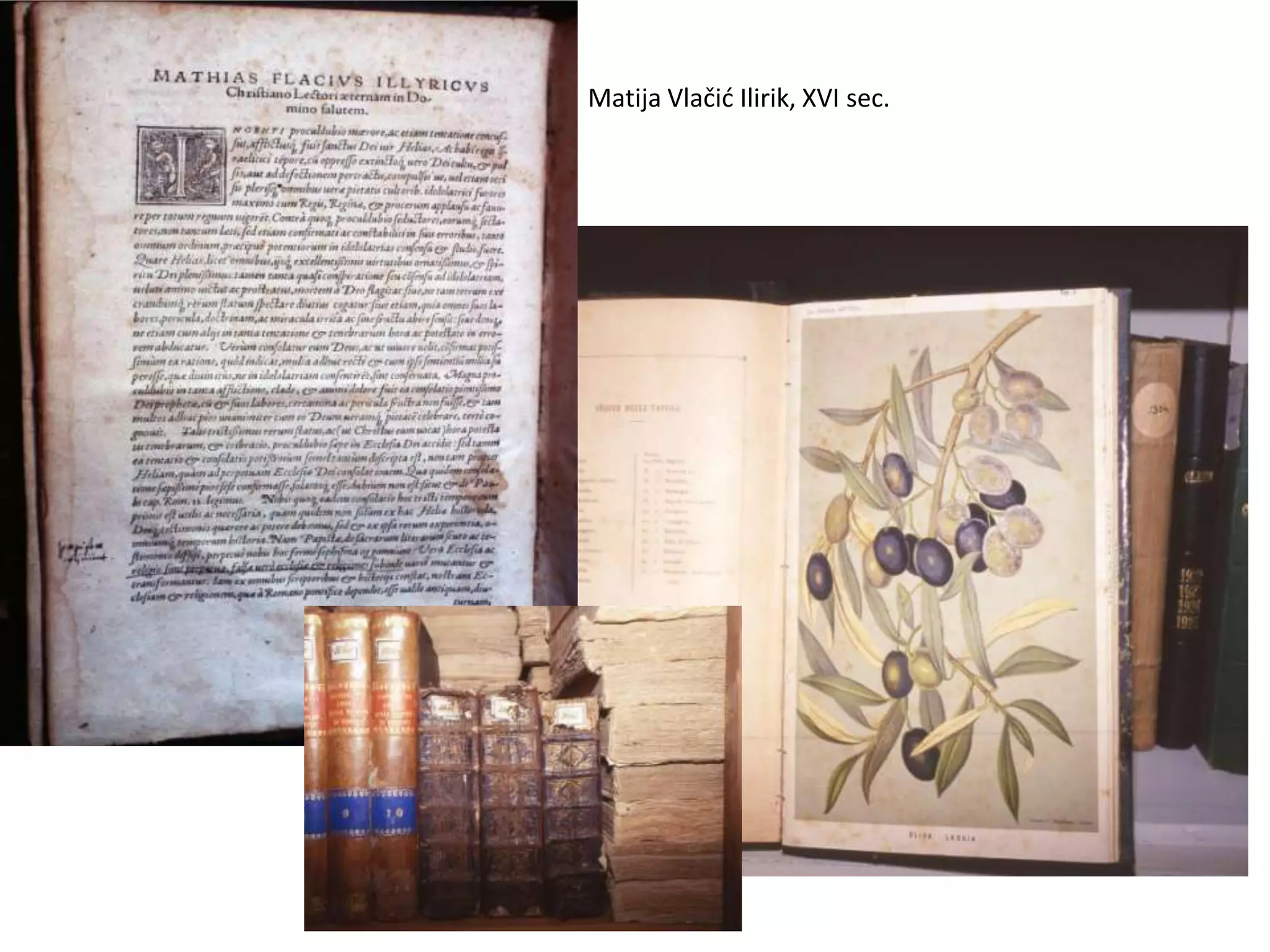 Matija Vlačid Ilirik, XVI sec.
 