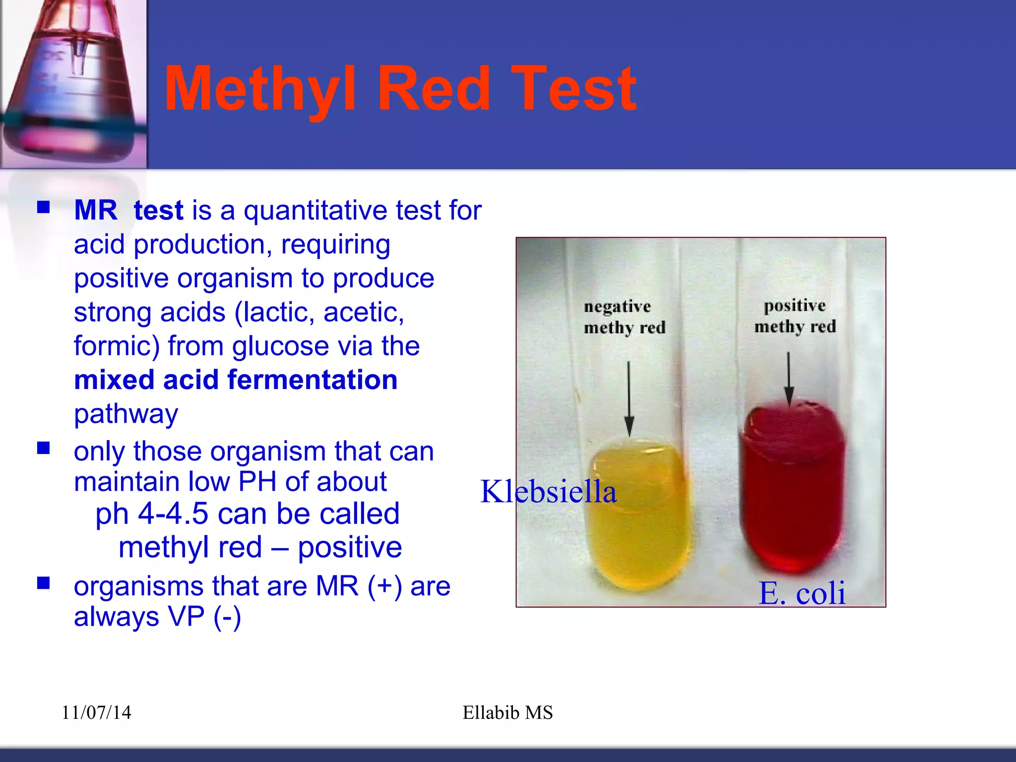 Lab Identification Lab identification of enterobacteriacae | PPT