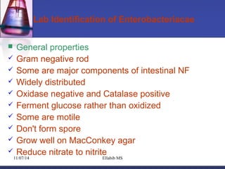Lab Identification of Enterobacteriacae 
 General properties 
 Gram negative rod 
 Some are major components of intestinal NF 
 Widely distributed 
 Oxidase negative and Catalase positive 
 Ferment glucose rather than oxidized 
 Some are motile 
 Don't form spore 
 Grow well on MacConkey agar 
 Reduce nitrate to nitrite 
11/07/14 Ellabib MS 
 