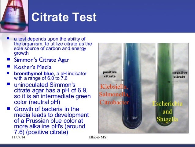 Gp test enanth health disparities