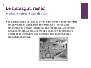 +
Le immagini raster
 In un'immagine in scala di grigi, ogni punto è rappresentato
da un valore di luminosità che varia da 0 (nero) a 255
(bianco),con i valori intermedi che rappresentano diversi
livelli di grigio. La scala di grigi è un modo di codificare i
colori di un'immagine che contiene solo bianco, nero e
sfumature di grigio.
Modalità colore: Scala di grigi
 
