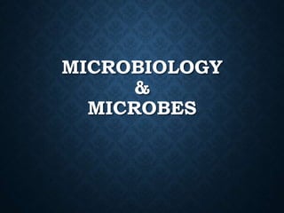 MICROBIOLOGY
&
MICROBES
 