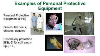 Lab Inspections vs. Audits: What's the Difference & Why Does It Matter ...