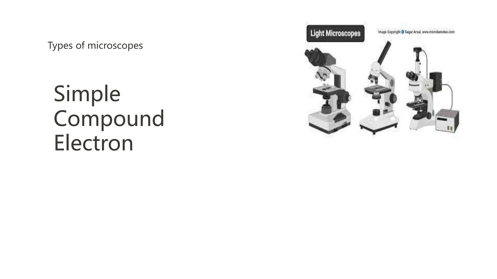 Types of microscopes
Simple
Compound
Electron
 