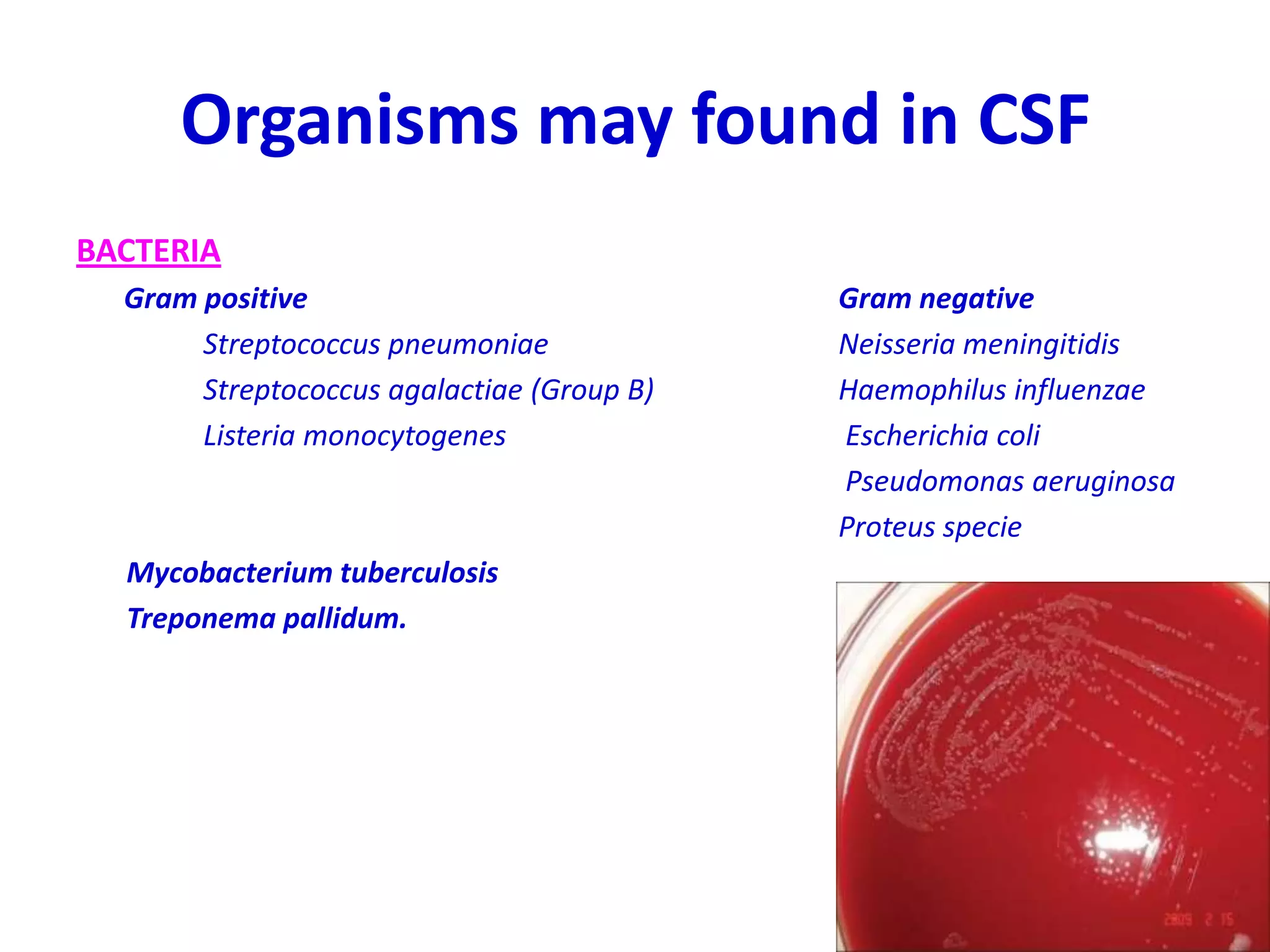 Organisms may found in CSF
BACTERIA
Gram positive Gram negative
Streptococcus pneumoniae Neisseria meningitidis
Streptococcus agalactiae (Group B) Haemophilus influenzae
Listeria monocytogenes Escherichia coli
Pseudomonas aeruginosa
Proteus specie
Mycobacterium tuberculosis
Treponema pallidum.
 