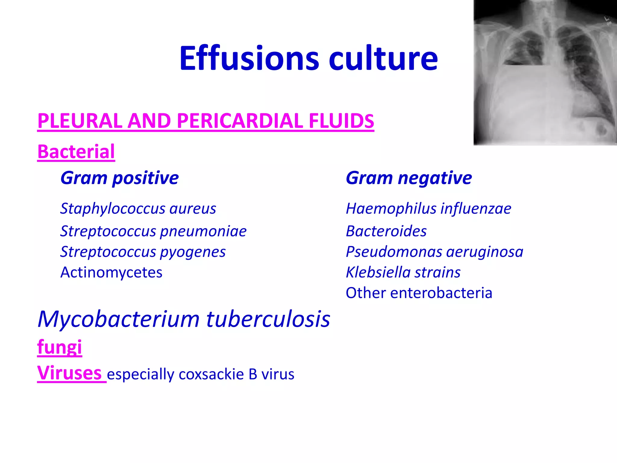 Effusions culture
PLEURAL AND PERICARDIAL FLUIDS
Bacterial
Gram positive Gram negative
Staphylococcus aureus Haemophilus influenzae
Streptococcus pneumoniae Bacteroides
Streptococcus pyogenes Pseudomonas aeruginosa
Actinomycetes Klebsiella strains
Other enterobacteria
Mycobacterium tuberculosis
fungi
Viruses especially coxsackie B virus
 