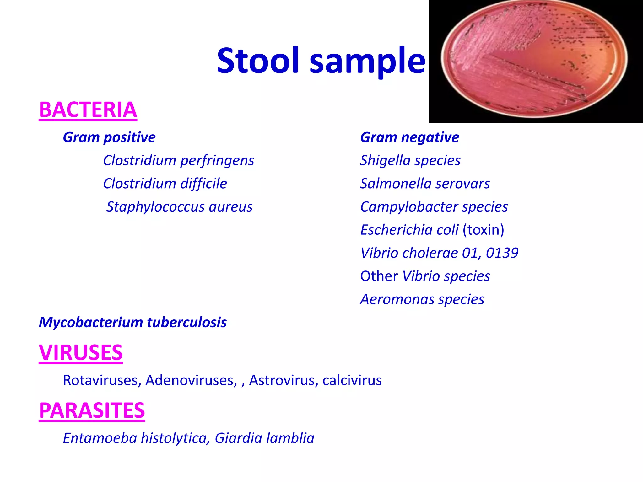 Stool sample
BACTERIA
Gram positive Gram negative
Clostridium perfringens Shigella species
Clostridium difficile Salmonella serovars
Staphylococcus aureus Campylobacter species
Escherichia coli (toxin)
Vibrio cholerae 01, 0139
Other Vibrio species
Aeromonas species
Mycobacterium tuberculosis
VIRUSES
Rotaviruses, Adenoviruses, , Astrovirus, calcivirus
PARASITES
Entamoeba histolytica, Giardia lamblia
 