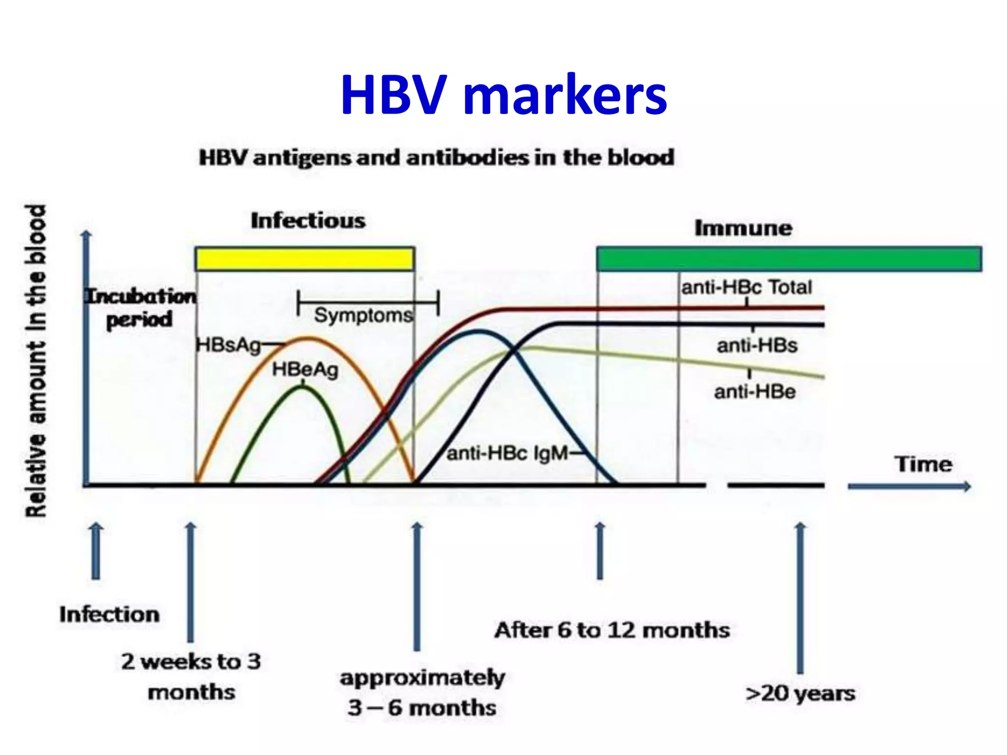 HBV markers
 