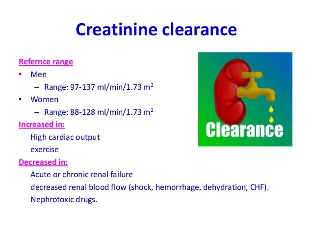 estimated-glomerular-filtration-rate