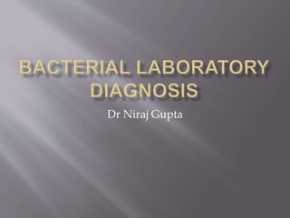 Dr Niraj Gupta
 