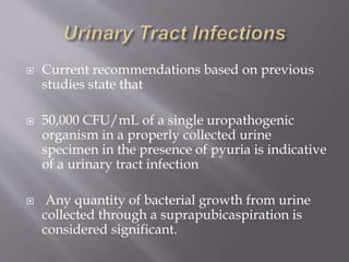 What Is Pyuria Number Lab Test Example Lab Investigation Bacterial Infections.pptx