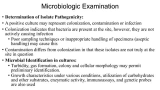 Microbiologic Examination
• Determination of Isolate Pathogenicity:
• A positive culture may represent colonization, contamination or infection
• Colonization indicates that bacteria are present at the site, however, they are not
actively causing infection
• Poor sampling techniques or inappropriate handling of specimens (aseptic
handling) may cause this
• Contamination differs from colonization in that these isolates are not truly at the
site in question
• Microbial Identification in cultures:
• Turbidity, gas formation, colony and cellular morphology may permit
preliminary identification.
• Growth characteristics under various conditions, utilization of carbohydrates
and other substrates, enzymatic activity, immunoassays, and genetic probes
are also used
 