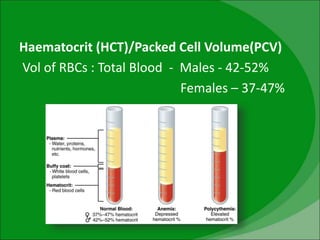 Haematocrit (HCT)/Packed Cell Volume(PCV)
Vol of RBCs : Total Blood - Males - 42-52%
Females – 37-47%
 