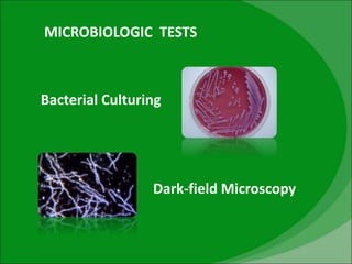 MICROBIOLOGIC TESTS
Bacterial Culturing
Dark-field Microscopy
 