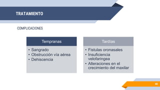 TRATAMIENTO
COMPLICACIONES
40
Tempranas
• Sangrado
• Obstrucción vía aérea
• Dehiscencia
Tardías
• Fistulas oronasales
• Insuficiencia
velofaringea
• Alteraciones en el
crecimiento del maxilar
 