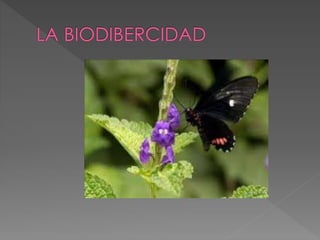 La biodibercidad
