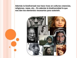 Además la biodiversad nos hace ricos en culturas creencias, religiones, razas, etc... Es además la biodiversidad la que nos dan los elementos necesarios para subsistir.