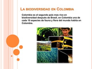 La biodiversidad en ColombiaColombia es el segundo país mas rico en biodiversidad después de Brasil, en Colombia una de cada 10 especies de fauna y flora del mundo habita en Colombia.