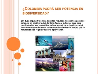 ¿Colombia podrá ser potencia en biodiversidad?Sin duda alguna Colombia tiene los recursos necesarios para ser potencia en biodiversidad de flora, fauna y culturas; pero para que Colombia sea uno de los países mas ricos en biodiversidad, los colombianos debemos tomar conciencia de este tesoro que la naturaleza nos regalo y saberlo aprovechar.