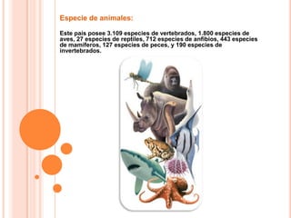Especie de animales:Este país posee 3.109 especies de vertebrados, 1.800 especies de aves, 27 especies de reptiles, 712 especies de anfibios, 443 especies de mamíferos, 127 especies de peces, y 190 especies de invertebrados.