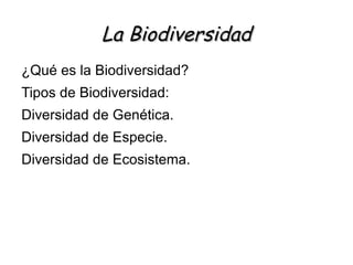 La Biodiversidad ,[object Object]