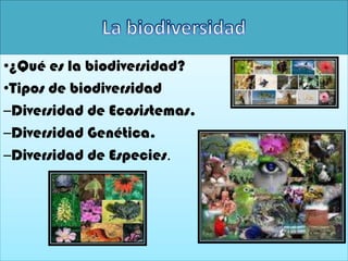 •¿Qué es la biodiversidad?
•Tipos de biodiversidad
–Diversidad de Ecosistemas.
–Diversidad Genética.
–Diversidad de Especies.
 