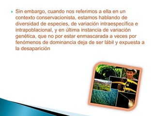    Sin embargo, cuando nos referimos a ella en un
    contexto conservacionista, estamos hablando de
    diversidad de especies, de variación intraespecífica e
    intrapoblacional, y en última instancia de variación
    genética, que no por estar enmascarada a veces por
    fenómenos de dominancia deja de ser lábil y expuesta a
    la desaparición
 
