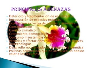 PRINCIPALES AMENAZAS
   Deterioro y fragmentación de ecosistemas
   Introducción de especies exóticas
   Explotación excesiva de plantas y animales
   Contaminación
   Cambio climático
   Crecimiento demográfico
   Consumo insostenible de recursos
   Pérdidas y afectaciones causadas por las nuevas
    biotecnologías
   Desarrollo no planeado de la ingeniería genética
   Políticas económicas que no atribuyen un debido
    valor a los recursos
 