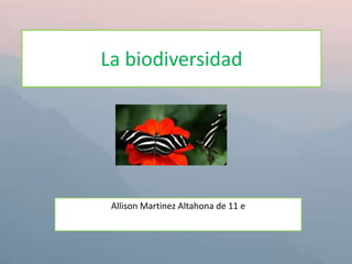 La biodiversidad




 Allison Martinez Altahona de 11 e
 