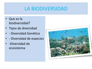 • Que es la
  biodiversidad?
• Tipos de diversidad
• - Diversidad Genética
• - Diversidad de especies
• -Diversidad de
  ecosistema
 