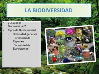 •
•

¿Qué es la
Biodiversidad?
Tipos de Biodiversidad
₋ Diversidad genérica
₋
Diversidad de
Especies
₋
Diversidad de
Ecosistemas

 