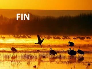 FIN

 