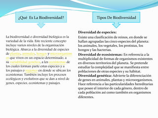 ¿Qué Es La Biodiversidad?
La biodiversidad o diversidad biológica es la
variedad de la vida. Este reciente concepto
incluye varios niveles de la organización
biológica. Abarca a la diversidad de especies
de plantas, animales, hongos y microorganism
os que viven en un espacio determinado, a
su variabilidad genética, a los ecosistemas de
los cuales forman parte estas especies y a
los paisajes o regiones en donde se ubican los
ecosistemas. También incluye los procesos
ecológicos y evolutivos que se dan a nivel de
genes, especies, ecosistemas y paisajes.
Tipos De Biodiversidad
Diversidad de especies:
Existe una clasificación de reinos, en donde se
hallan agrupadas las cinco especies del planeta:
los animales, los vegetales, los protistas, los
hongos y las bacterias.
Diversidad de ecosistemas: En referencia a la
multiplicidad de formas de organismos existentes
en diversos territorios del planeta. Se pretende
estudiar la complejidad que se manifiesta entre
poblaciones de otras especies y su hábitat.
Diversidad genética: Advierte la diferenciación
de genes en animales, plantas y microorganismos.
Hace referencia a las particularidades hereditarias
que posee el interior de cada género, dentro de
cada población así como también en organismos
diferentes.
 