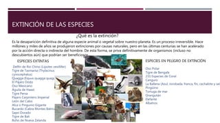 EXTINCIÓN DE LAS ESPECIES
¿Qué es la extinción?
Es la desaparición definitiva de alguna especie animal o vegetal sobre nuestro planeta. Es un proceso irreversible. Hace
millones y miles de años se produjeron extinciones por causas naturales, pero en las últimas centurias se han acelerado
por la acción directa o indirecta del hombre. De esta forma, se priva definitivamente de organismos (incluso no
descubiertos aún) que podrían ser beneficiosos.
ESPECIES EXTINTAS
Delfín de Rio Chino (Lipotes vexillifer)
Tigre de Tasmania (Thylacinus
cynocephalus)
Quagga (Equus quagga quagga)
El Pájaro Dodo
Oso Mexicano
Águila de Haast
Tigre Persa
Pájaro Carpintero Imperial
León del Cabo
Alca o Pinguino Gigante
Bucardo (Cabra Montes Ibérica)
Sapo Dorado
Tigre de Bali
Búho de Nueva Zelanda
ESPECIES EN PELIGRO DE EXTINCIÓN
Oso Polar
Tigre de Bengala
231 Especies de Coral
Canguro
La Ballena (Azul, Jorobada, franca, fin, cachalote y sei.
Pingüino
Tortuga de mar
Orangután
Elefante
Albatros
 
