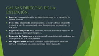 CAUSAS DIRECTAS DE LA
EXTINCIÓN.
 Cacería: La cacería ha sido un factor importante en la extinción de
ciertas especies.
 Colección: El mercado internacional de vida silvestre es altamente
rentable y sucede a unos niveles que la mayoría de las personas no
sospecha.
 Negocio de las pieles: Otra amenaza para los mamíferos terrestres es
la cacería para conseguir sus pieles.
 Comercio de Productos: Muchos animales continúan sufriendo por los
otros productos que ellos proveen.
 Los depredadores: Muchos humanos creen que ciertos animales
salvajes constituyen una seria amenaza para su ganado.
 