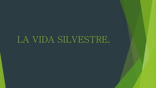 LA VIDA SILVESTRE.
 